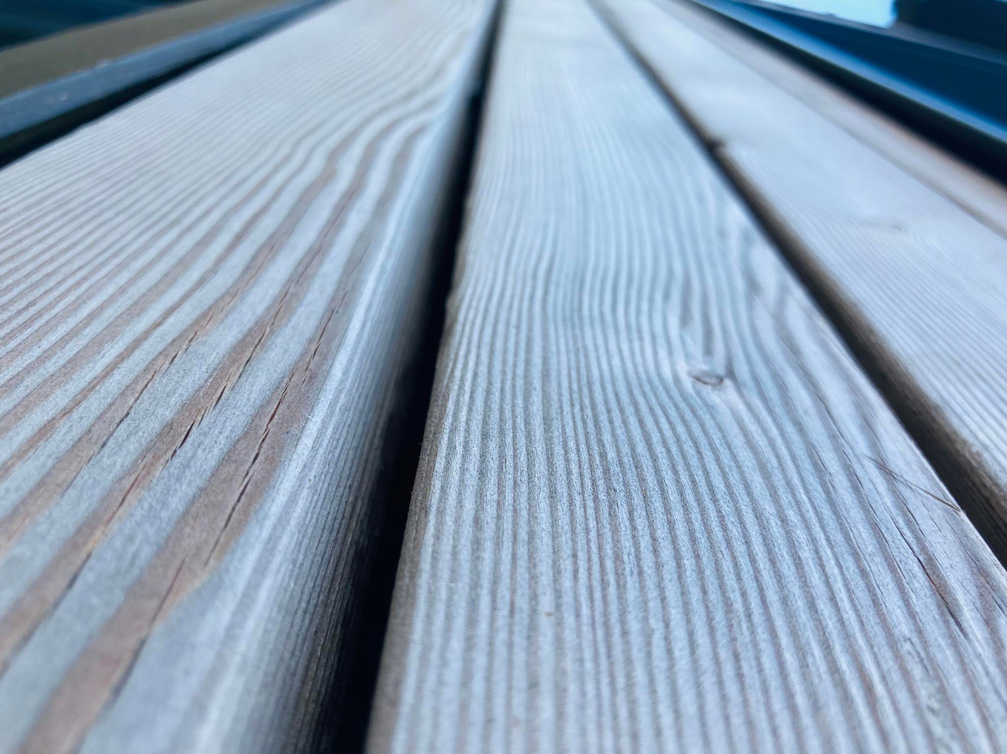 335506397_511124954557437_7545448671637659966_n