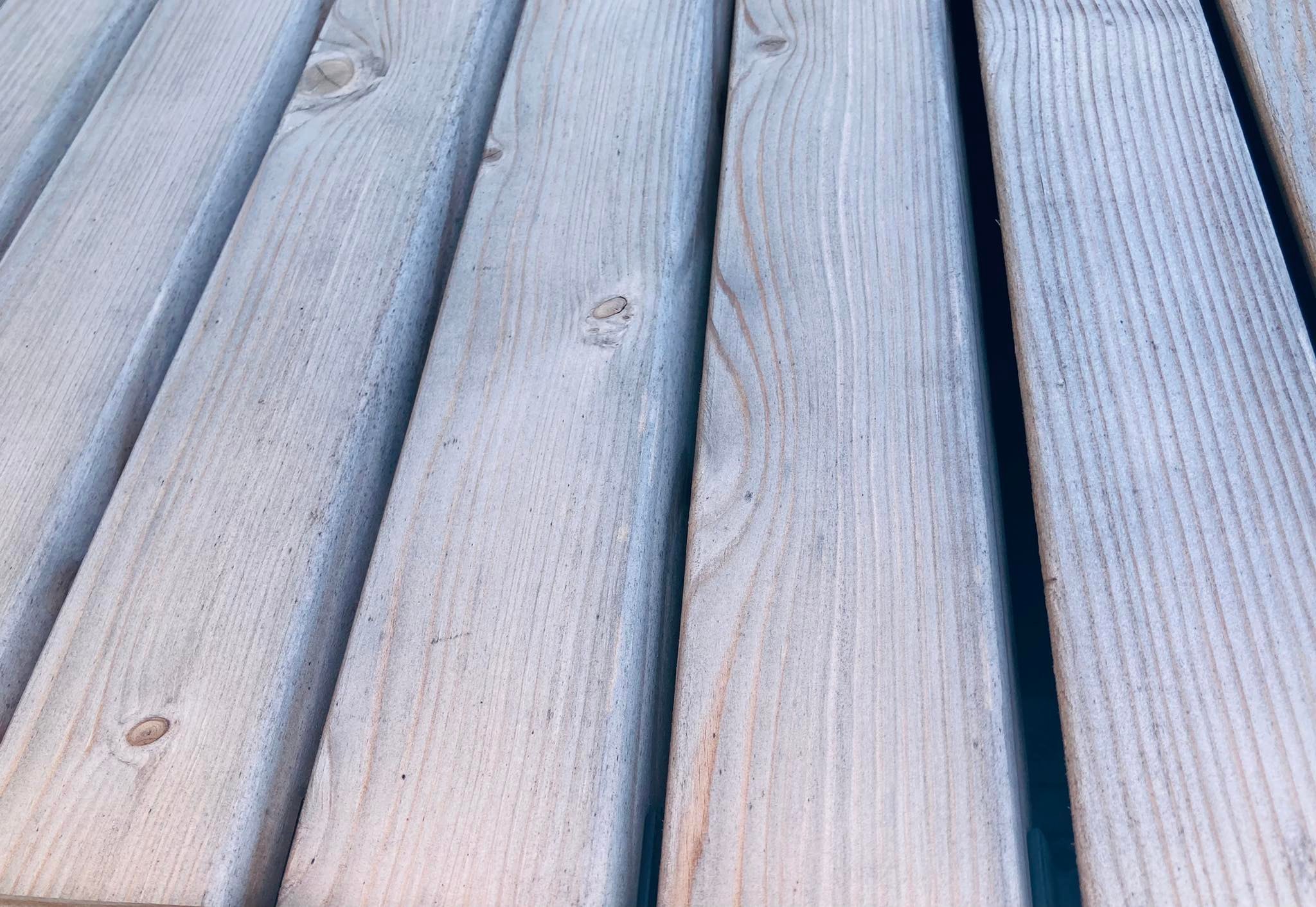 335566702_204110072310182_48069045891770757_n