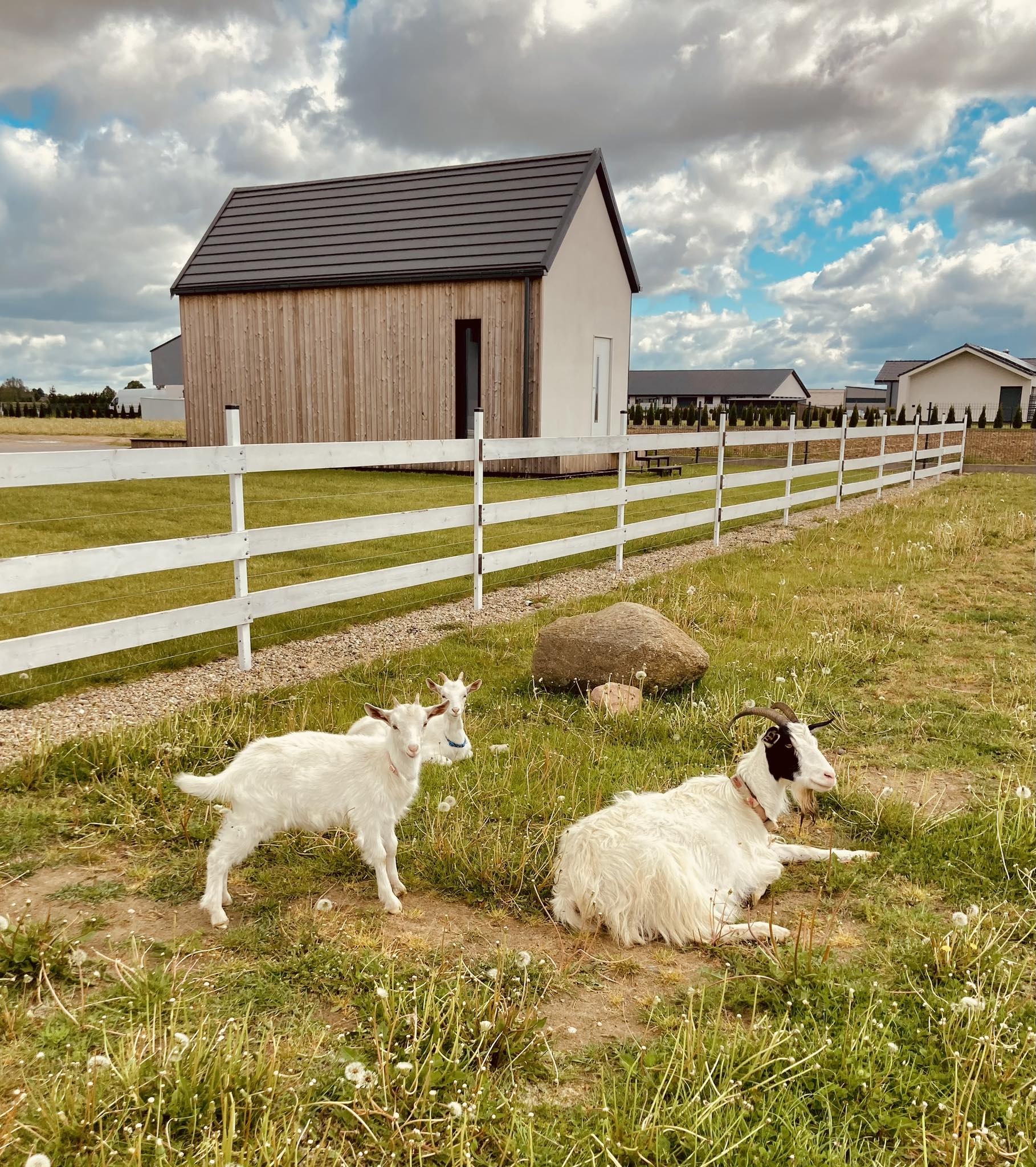 398494275_359433566457958_5660309596121112013_n